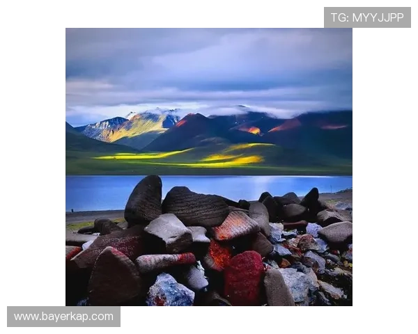 伤痕我心：那些刻骨铭心的印记，如何成为生命中最美的风景