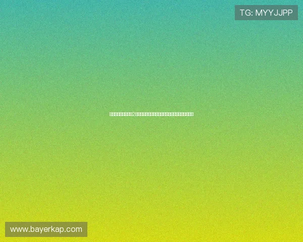 《我们结婚了世界版2》：跨越山海，心动依然，一场全球恋爱的奇幻漂流