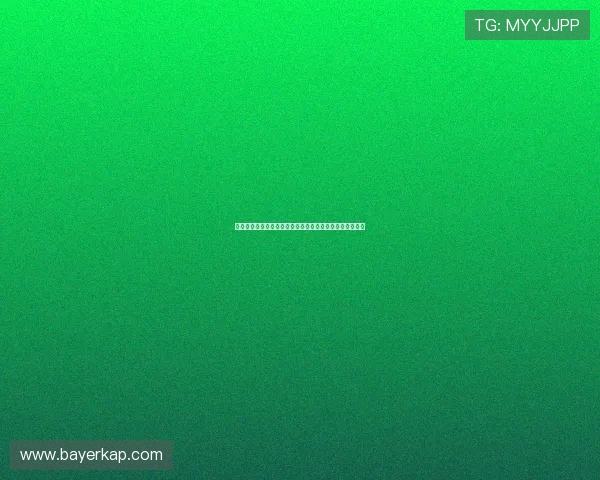 乘风破浪,扬帆远航:海贼物语,一段属于你的不朽传奇!