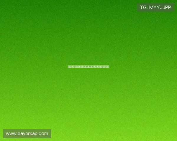 《僵尸之地》：一场颠覆认知的末日狂欢，你准备好加入了吗？